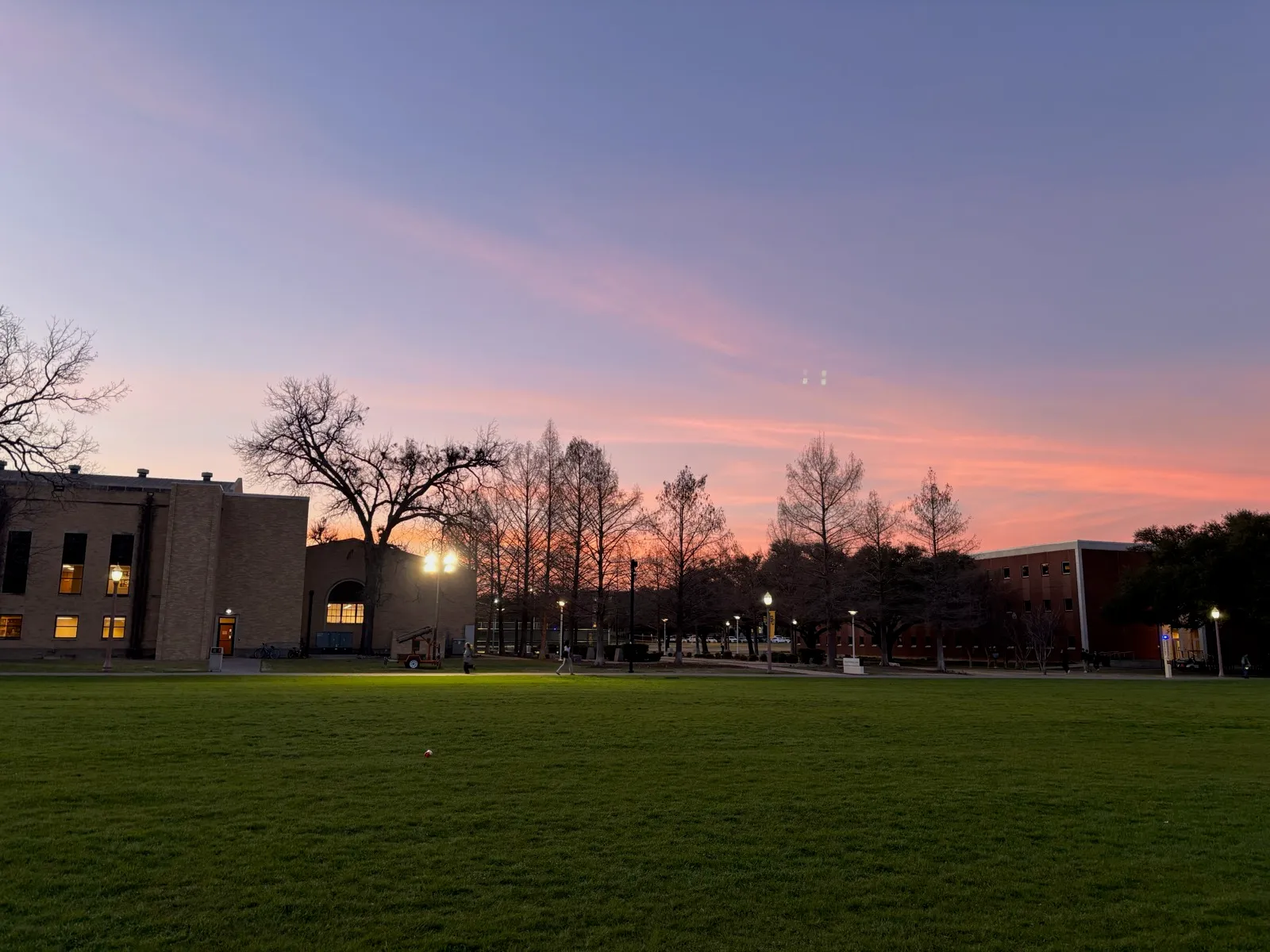 Baylor lawn