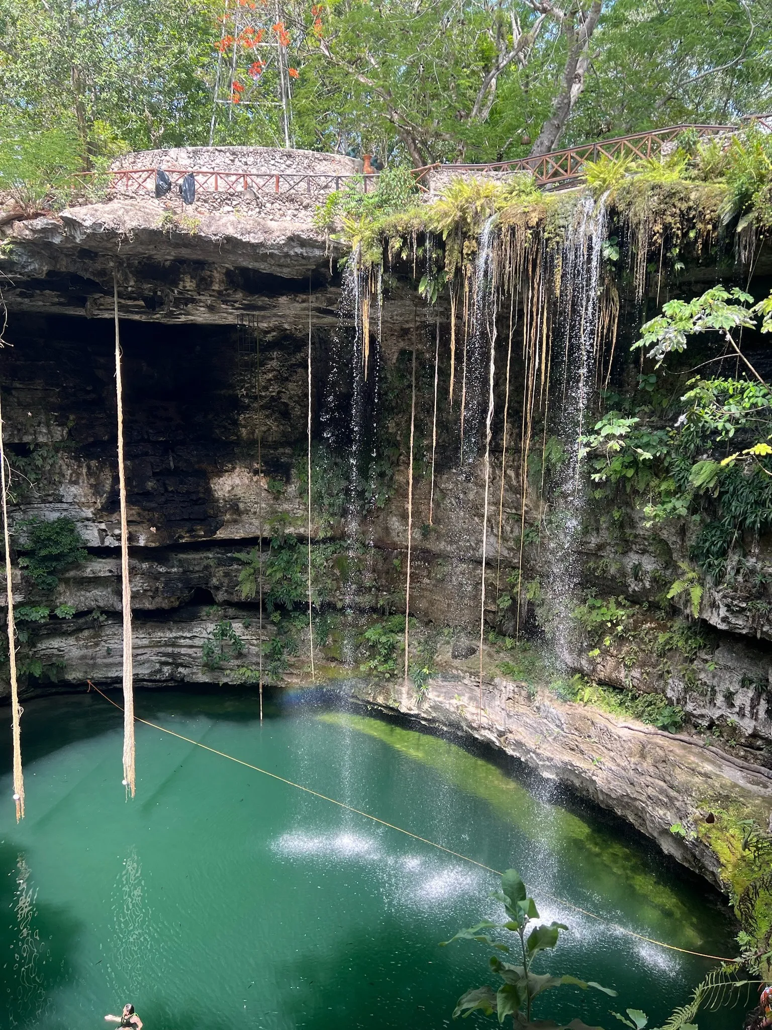 Roots and water dropping into an emerald cenote pool ringed by limestone