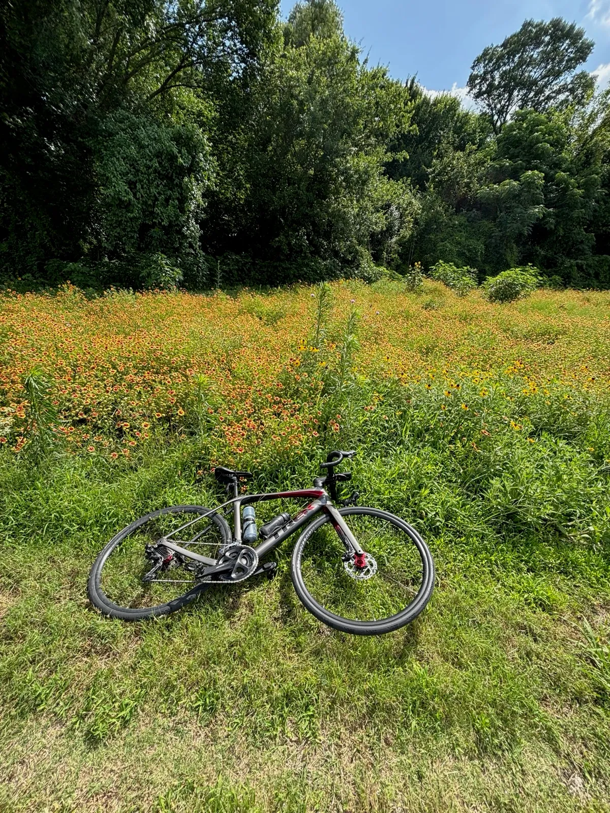Roadside